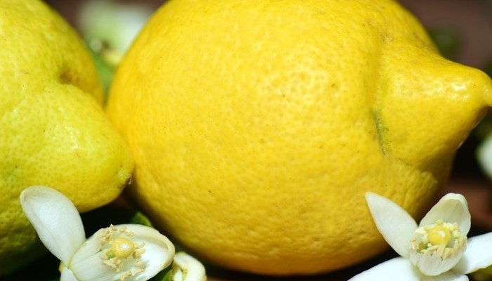 lemon nimbu ke ghareloo nuskhe